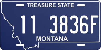 MT license plate 113836F