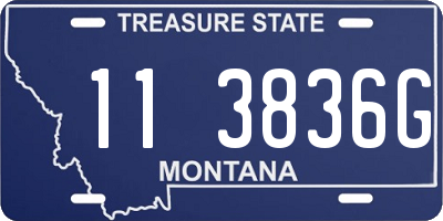 MT license plate 113836G