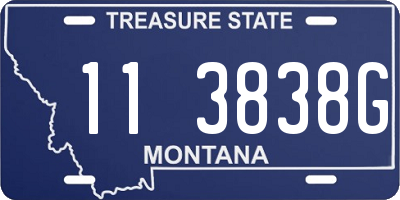 MT license plate 113838G