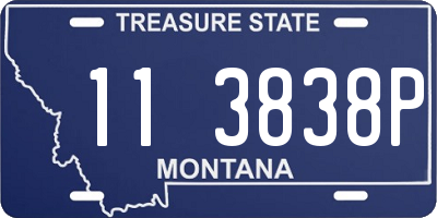 MT license plate 113838P