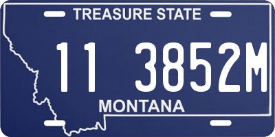 MT license plate 113852M
