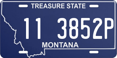 MT license plate 113852P