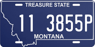 MT license plate 113855P