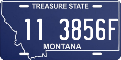 MT license plate 113856F