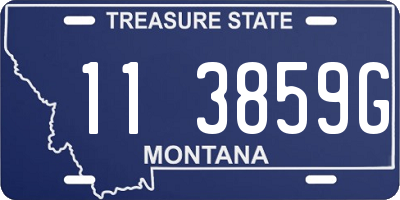 MT license plate 113859G