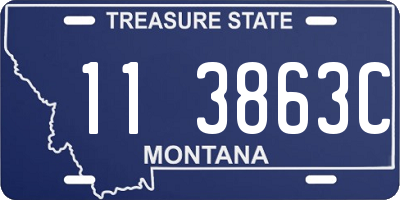 MT license plate 113863C