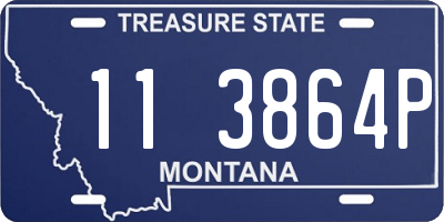 MT license plate 113864P