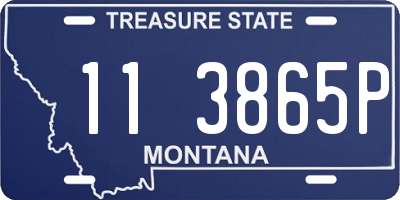 MT license plate 113865P