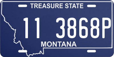 MT license plate 113868P