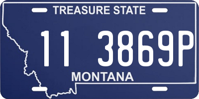 MT license plate 113869P