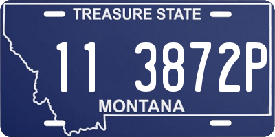 MT license plate 113872P