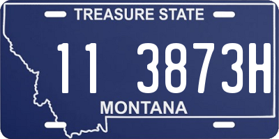 MT license plate 113873H