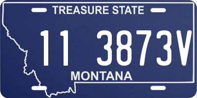 MT license plate 113873V