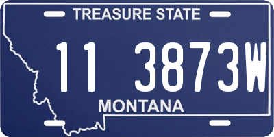 MT license plate 113873W