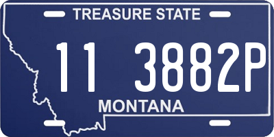 MT license plate 113882P