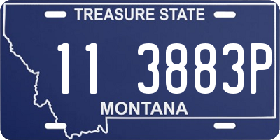 MT license plate 113883P