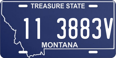 MT license plate 113883V