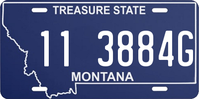 MT license plate 113884G