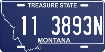 MT license plate 113893N