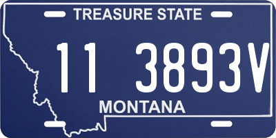 MT license plate 113893V