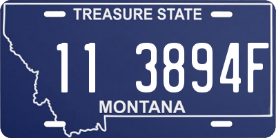 MT license plate 113894F