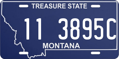 MT license plate 113895C