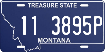 MT license plate 113895P