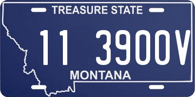 MT license plate 113900V