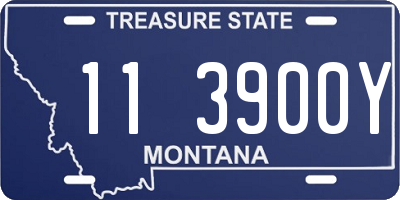 MT license plate 113900Y