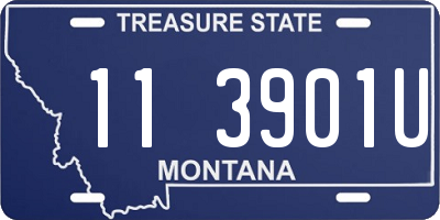 MT license plate 113901U