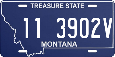 MT license plate 113902V