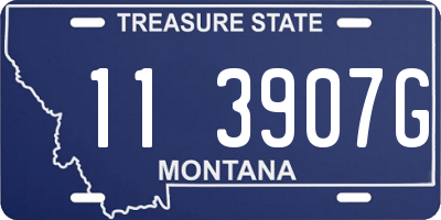 MT license plate 113907G