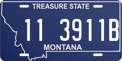 MT license plate 113911B