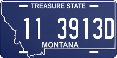 MT license plate 113913D