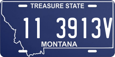 MT license plate 113913V