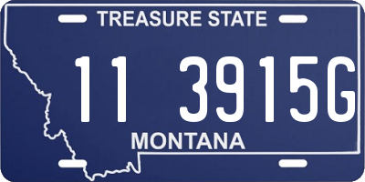 MT license plate 113915G