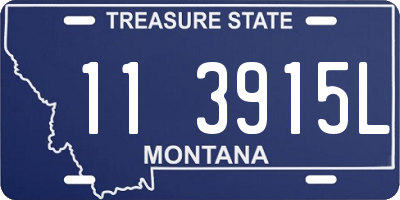 MT license plate 113915L