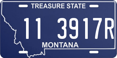 MT license plate 113917R