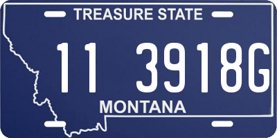 MT license plate 113918G