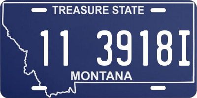 MT license plate 113918I