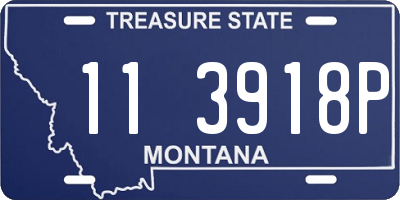 MT license plate 113918P