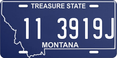MT license plate 113919J