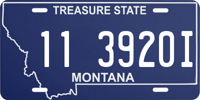 MT license plate 113920I