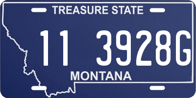 MT license plate 113928G