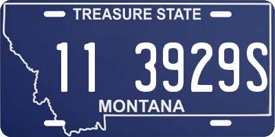 MT license plate 113929S