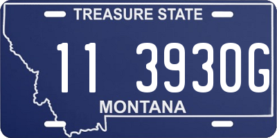 MT license plate 113930G