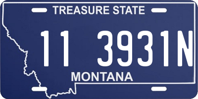 MT license plate 113931N