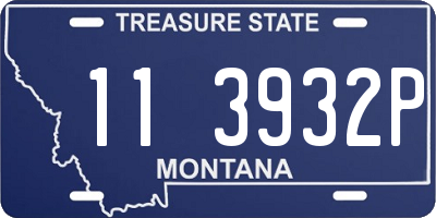 MT license plate 113932P