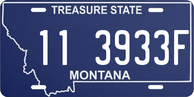 MT license plate 113933F