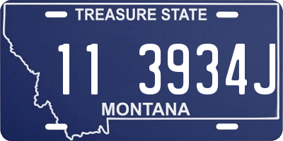 MT license plate 113934J